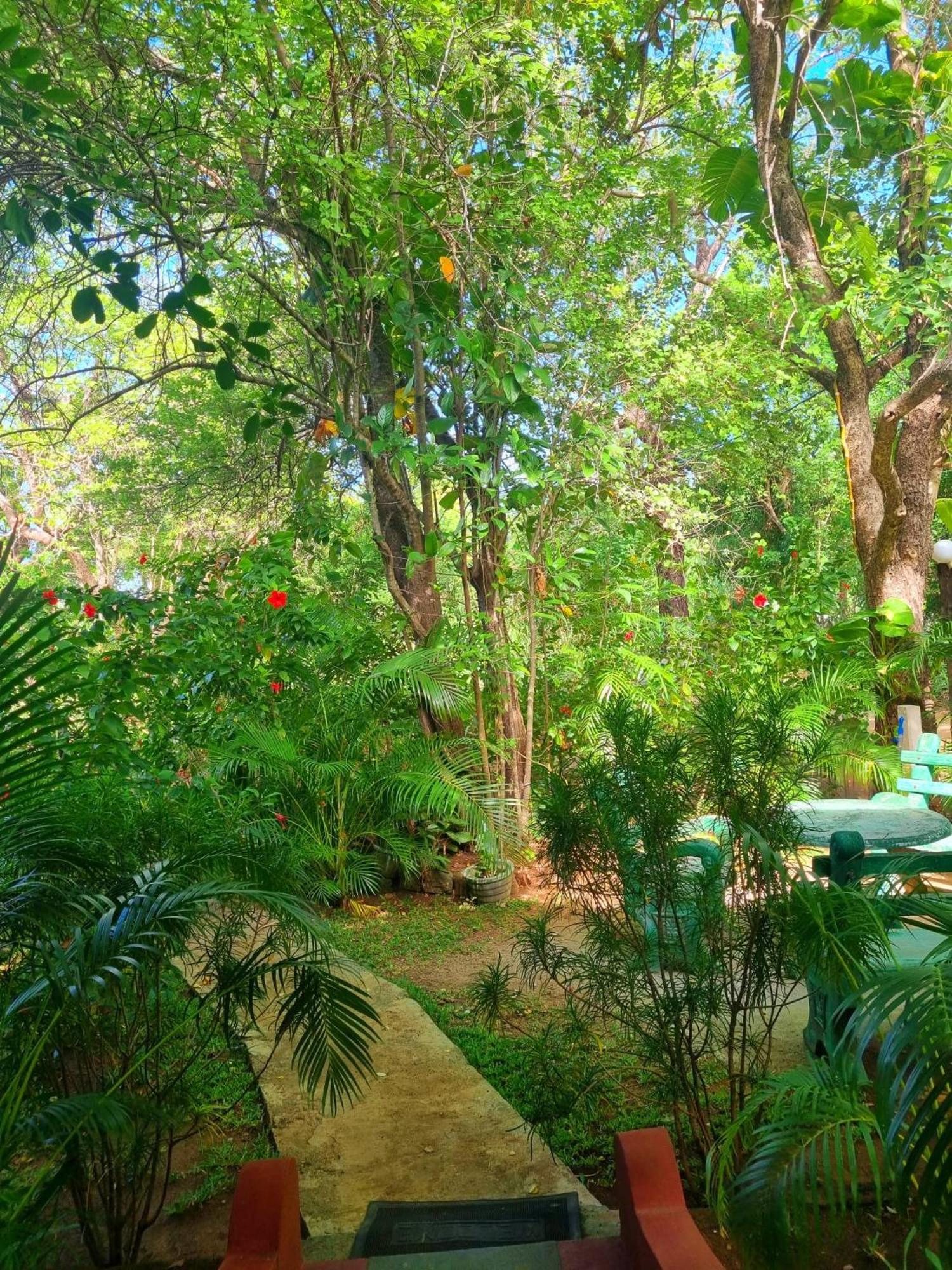Sunrise Cottage Σιγκιρίγια Εξωτερικό φωτογραφία